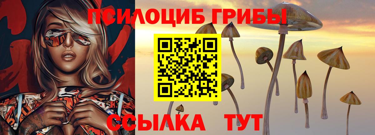 Беслан  наркотики  Вход с VPN  Псилоцибиновые грибы ЛСД 